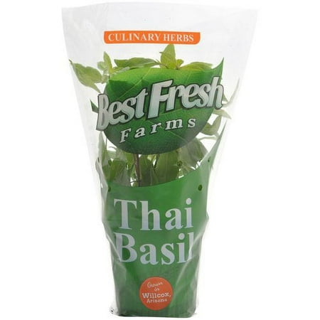 Best Fresh Thai Basil Potted Plant