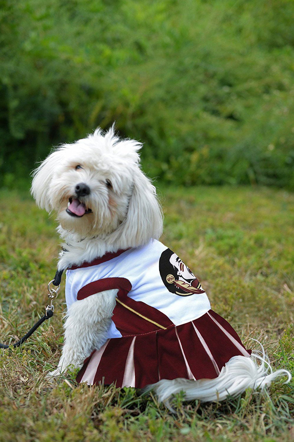 Pets First Florida State Seminoles Cheerleading Outfit 