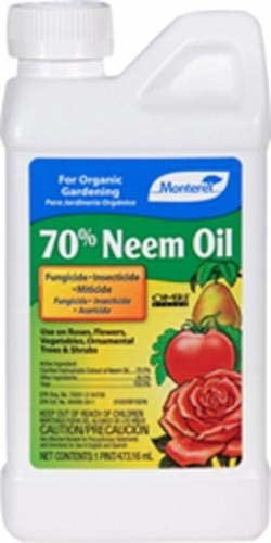 NEEM OIL PT