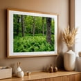 thumbnail image 4 of Ferns - Virginia Photography Oak Framed Wall Art Print 24 x 36 inches, 4 of 6