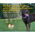 thumbnail image 3 of Country Brook Collier Martingale Réglable en Nylon Robuste avec Boucle de Luxe pour Petites Moyennes Grandes Races - 30+ Options de Couleurs Vibrantes (3/4 Pouce Petit Coyote Beige), 3 of 5