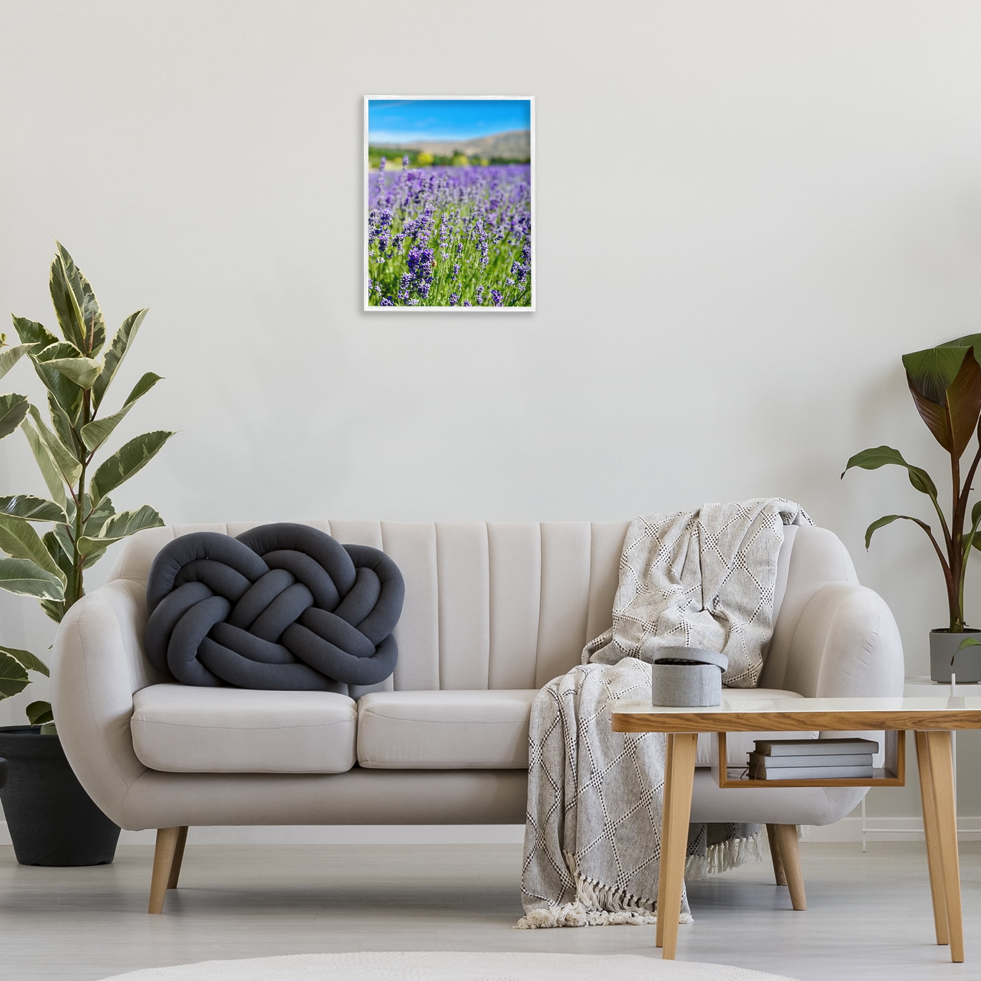 Stupell Industries Lavender in the Wind Landscape Photography White Framed Art Print Wall Art, 16 x 20