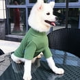 thumbnail image 4 of Dog clothes New style t-shirt Two legged clothes Wear winter pet bottoms in spring and autumn, 4 of 6