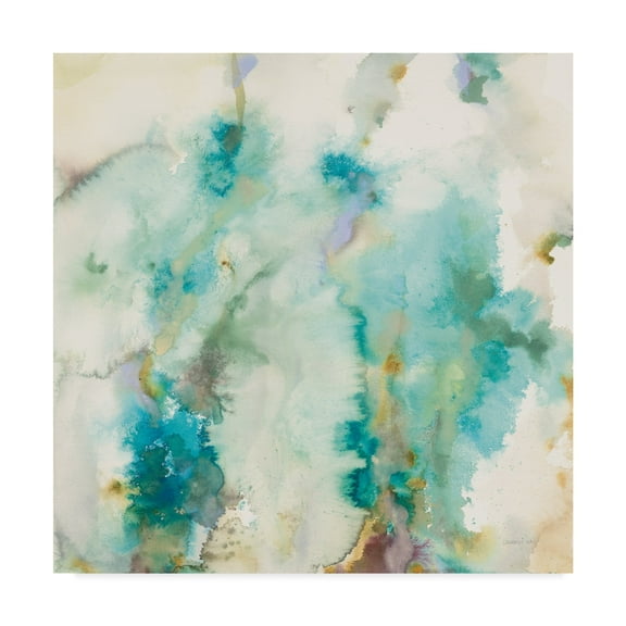 Trademark Fine Art 'Jaipur XII' Canvas Art by Danhui Nai