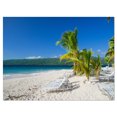 thumbnail image 2 of Beach Coconut Palms in Wind - Seashore Photo Canvas Print, 2 of 3