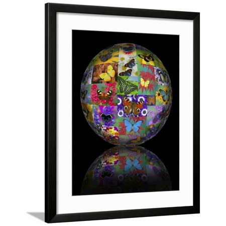 Photoshop designed globe with numerous butterfly photographs Framed Print Wall Art By Darrell (Best Photoshop Effects For Photos)