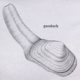 thumbnail image 3 of CafePress - Geoduck Women's T Shirt - Women's Classic T-Shirt, 3 of 4