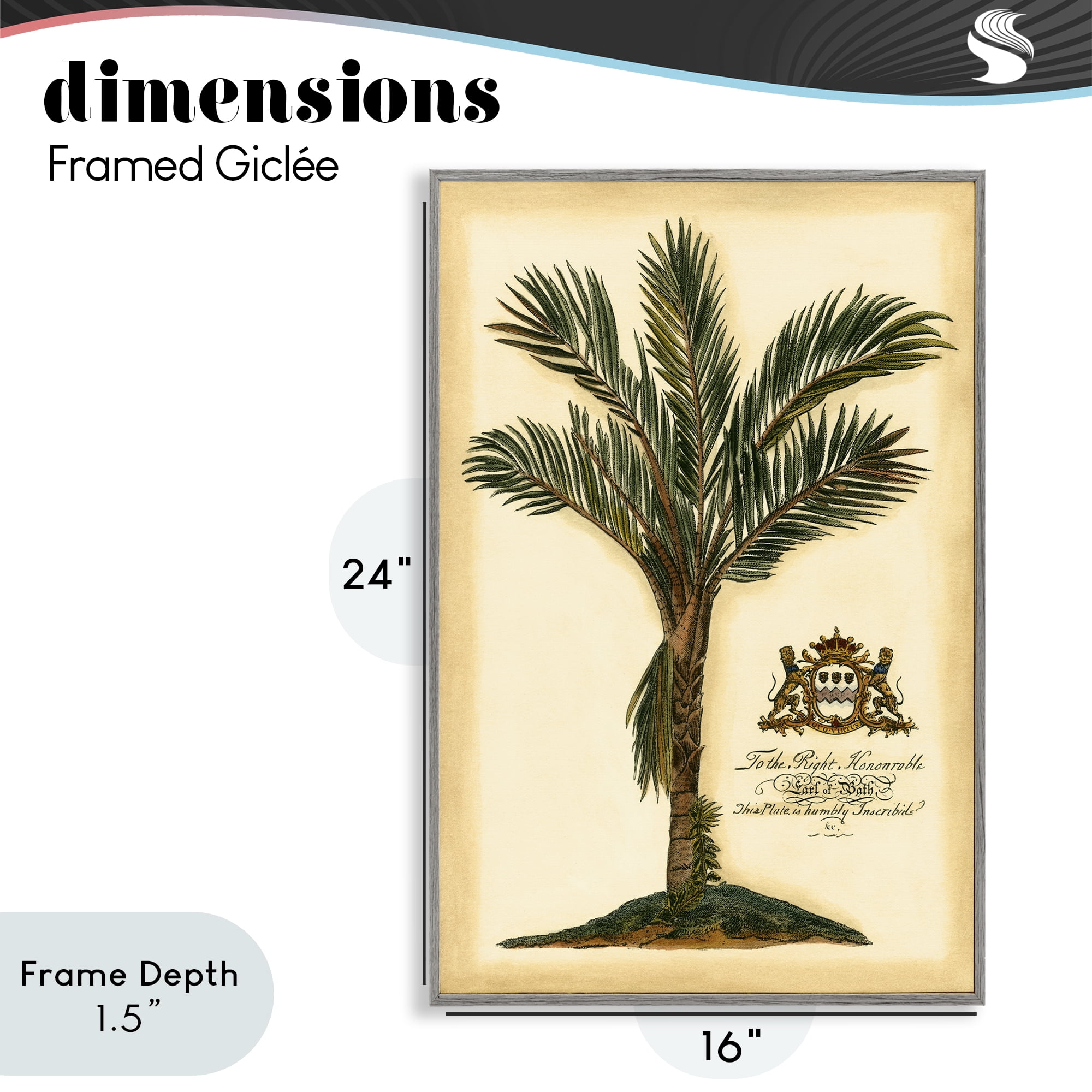 Stupell Industries Vintage Colonial Palm Gray Framed Giclee Art, design by Vision Studio