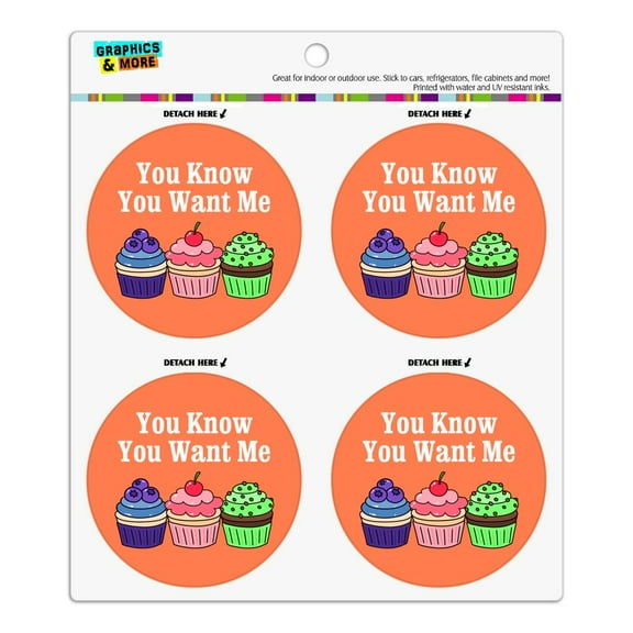 You Know You Want Me Cute Cupcakes Refrigerator Fridge Locker Vinyl Circle Magnet Set