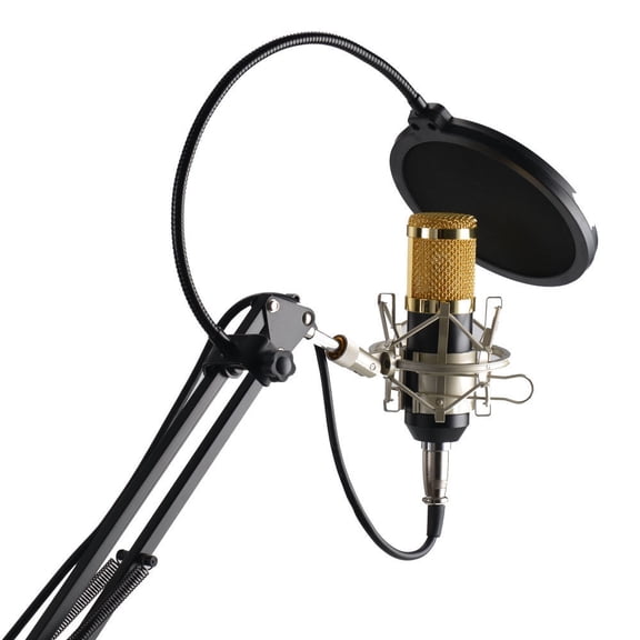 BESTYASH -800 Professional Condenser Microphone with Noise Reduction, Shock Mount, and Filter for Clear Recording - Black