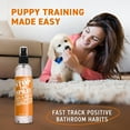 thumbnail image 6 of EBBP Stop the Spray Puppy Potty Training Spray, Indoor Dog Potty Training Spray and Pee Deterrent, 8 oz, 6 of 7