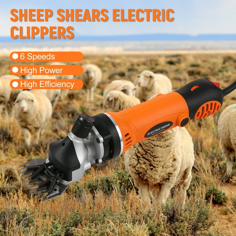 Andis sheep clippers sale