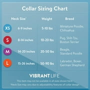 Vibrant Life Polyester Adjustable Collar for Dogs, Sage Green, Large