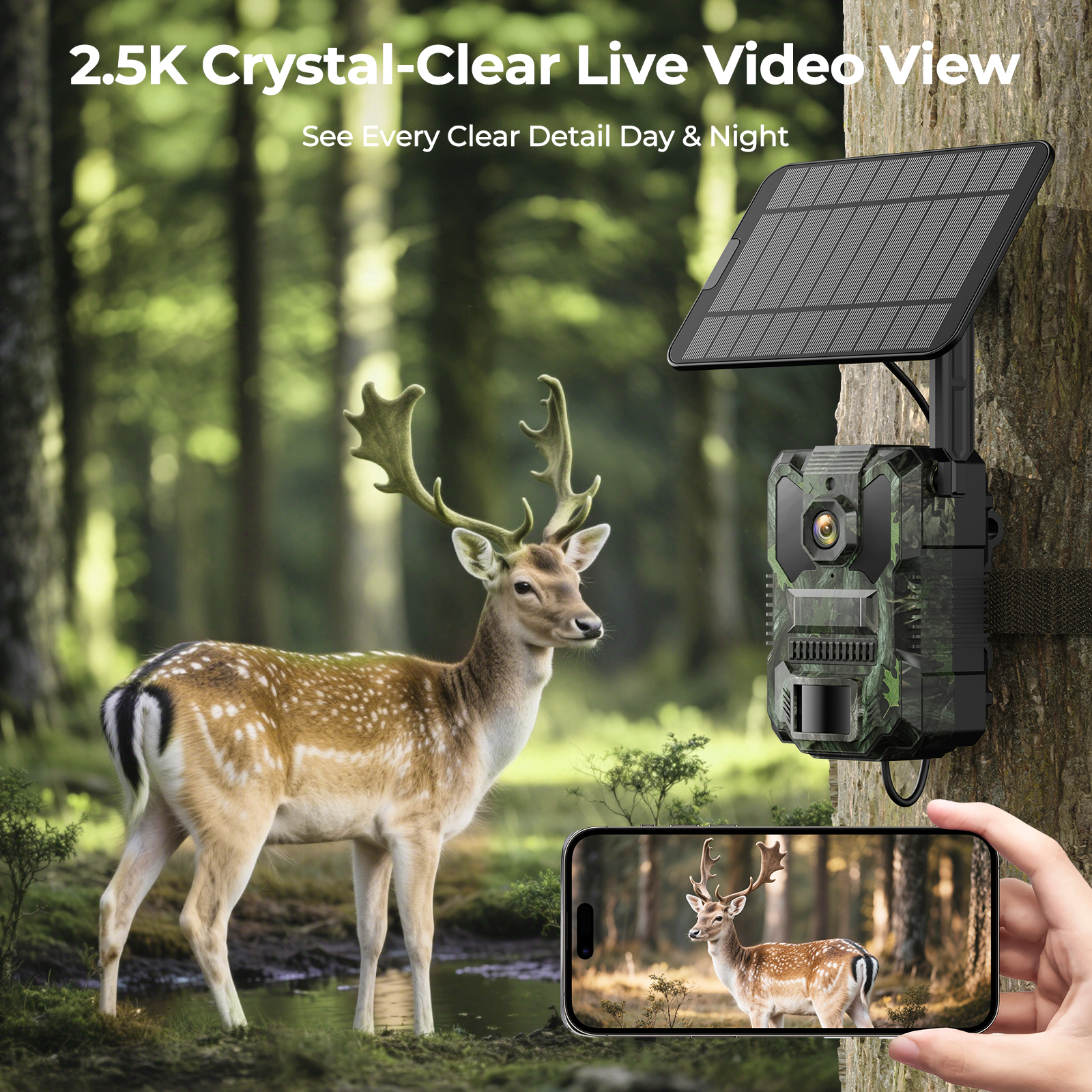 CAMPARK Trail Camera 4G Cellular Solar, 2.5K Hunting Game Camera Built-in SIM Card 4 Area in 1 Screen 940nm No Glow Night Vision IP66 Waterproof for Wildlife Monitoring No WiFi Needed