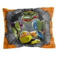 Nickelodeon Teenage Mutant Ninja Turtles 5 piece Twin/Full Bed Set, Kid