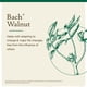 thumbnail image 2 of Flower Essence Bach Original Walnut, 10 ml, sin alcohol, vegano, 2 of 7