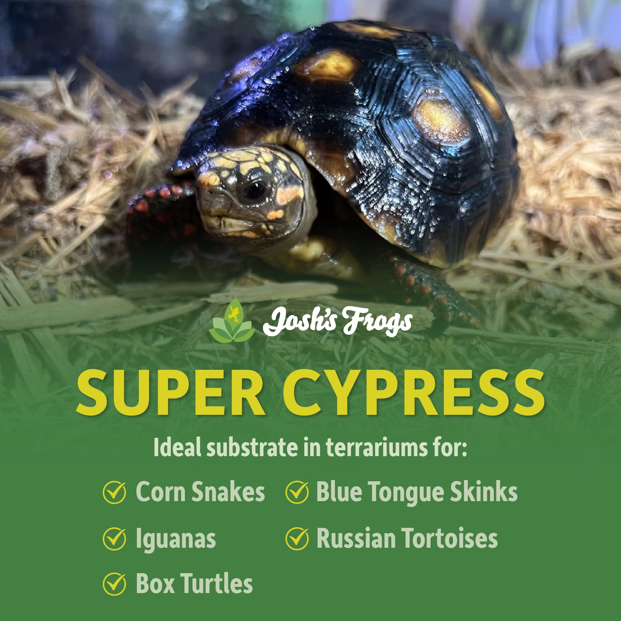 Josh's Frogs Super Cypress (10 quarts)