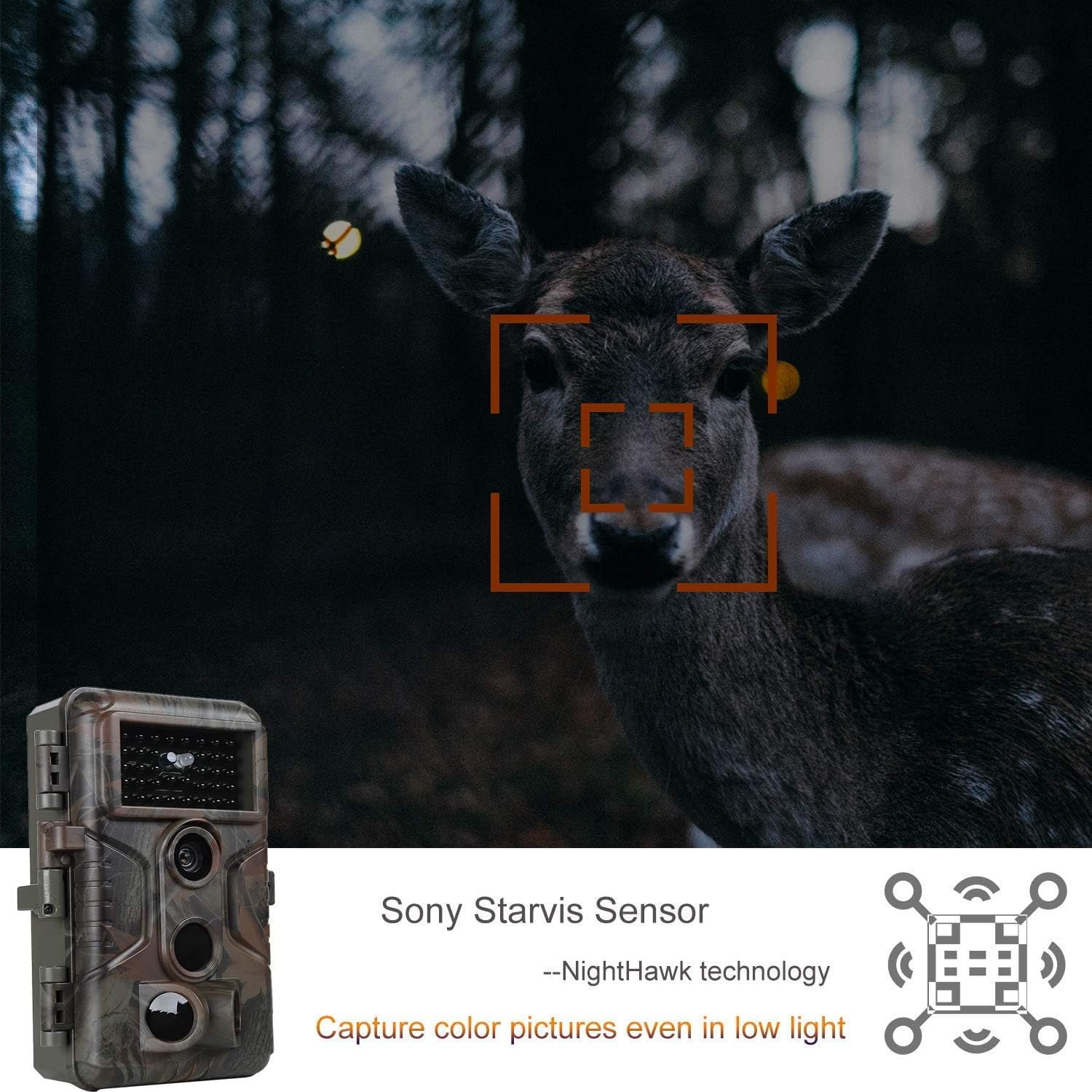 BLAZEVIDEO Trail Game Cameras - 64MP HD 1296P No Glow Night Vision, 0.1S Fast Trigger, IP66 Waterproof & Password Lock, Time Lapse/Stamp for Farm/Yard Wildlife‌