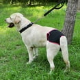 thumbnail image 3 of Pantelera fisiológica para perros, Pantalones de algodón de perro suministros para mascotas para perros para perros para perros para perros, 3 of 7