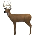 thumbnail image 2 of Big Shot Pro Hunter Buck Target, 2 of 3