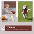 thumbnail image 3 of HORIALENCE Rugby-shaped Dog Throwing Toy 1Pack Plush for Outdoor Fun, 3 of 5