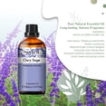 thumbnail image 3 of PHATOIL Clary Sage Essential Oils for Diffusers Humidifier 100% Pure Natural Aromatherapy Massage Bath Sleep Relaxation 30ml/1.01 fl.Oz, 3 of 7