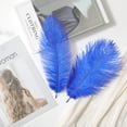thumbnail image 6 of 20 Pcs Natural Ostrich Feathers,Bexikou 8-10inch Ostrich Feathers Plume for Wedding Centerpieces Home Decoration, 6 of 7