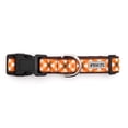 thumbnail image 3 of Fall Check Collar, 3 of 3