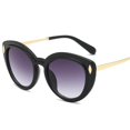 thumbnail image 4 of Lunettes de Soleil Il de Chat Classiques Unisexes Y1026, 4 of 5