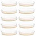thumbnail image 1 of 10pcs Prepoured Agar Plates Petri Dishes With Agar Science Experiment Supplies, 1 of 1