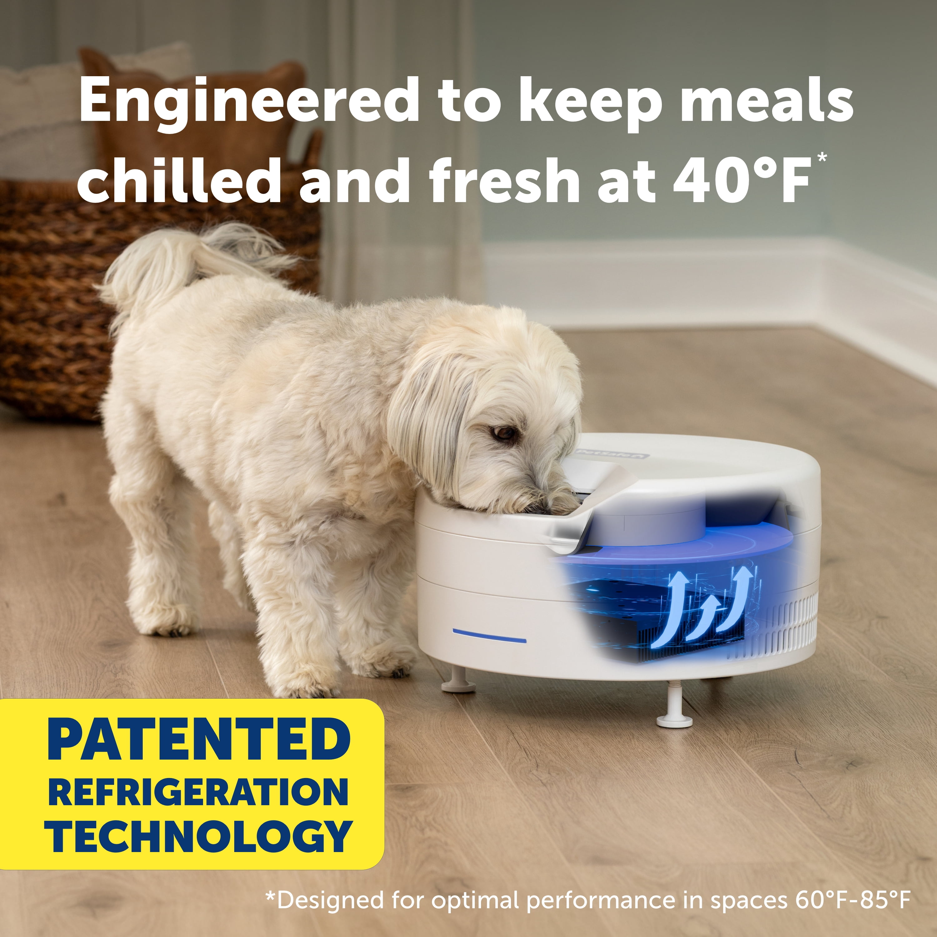 PetSafe FreshFeed Refrigerated Pet Feeder – Automatic Wet Food Feeder for Cats & Small Dogs – App Control – 6 Fresh Meals – Stainless Steel Inserts – White