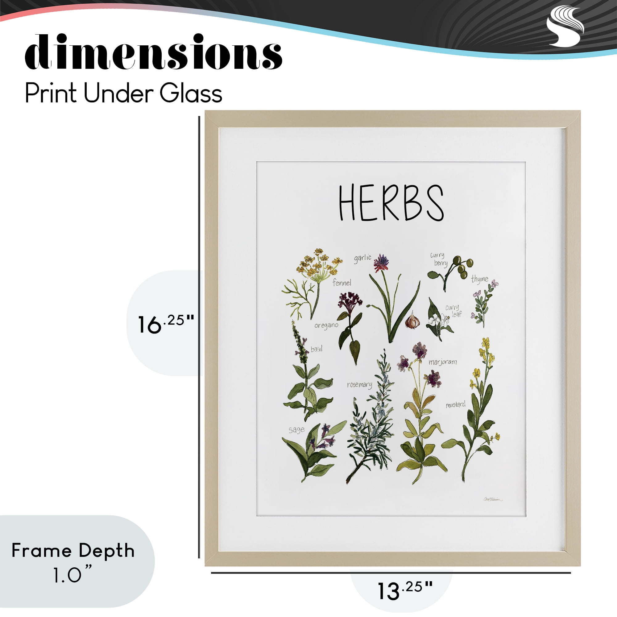 Stupell Industries Herbs Identification Chart Birch Framed Print Under Glass, design by Carol Robinson