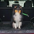 thumbnail image 3 of 2 cinturones de seguridad para perros para coche, cinturón de seguridad de nailon ajustable para perro, arnés de seguridad fuerte para coche con amortiguador elástico, fijación giratoria de 360 grados, 3 of 6
