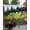 CornFlowerBlue, variant on Outdoor Sun Shade Sail 14'x18', Mist Forest Patio Beach Shade Canopy Cloth Waterproof, Beige Farmhouse Vintage Nature Scenery TearResistant & UV Protection Sun Sail for Backyard Garden Deck