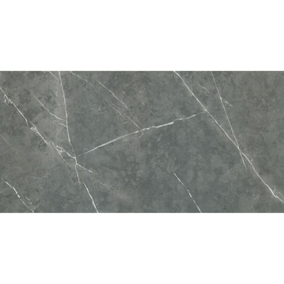 The Tile Life Alastair Gray Polished Porcelain Floor & Wall Tile, 4 x 4 in, 1-Piece Sample