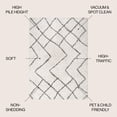 thumbnail image 4 of JONATHAN Y LONDON SHAG 5 x 8 Area Rug, Inca Moroccan Diamond - Beige/Dark Gray, SHG101A-5, 4 of 10