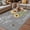LightGray Yellow, variant on You Are My Sunshine Outdoor Rug for Patio/Deck/Porch, Non-Slip Large Area Rug 3 x 5 Ft, Yellow Sunflowers Cute Bees Heart Blue Indoor Outdoor Rugs Washable Area Rugs, Camping Rug Carpet Runner