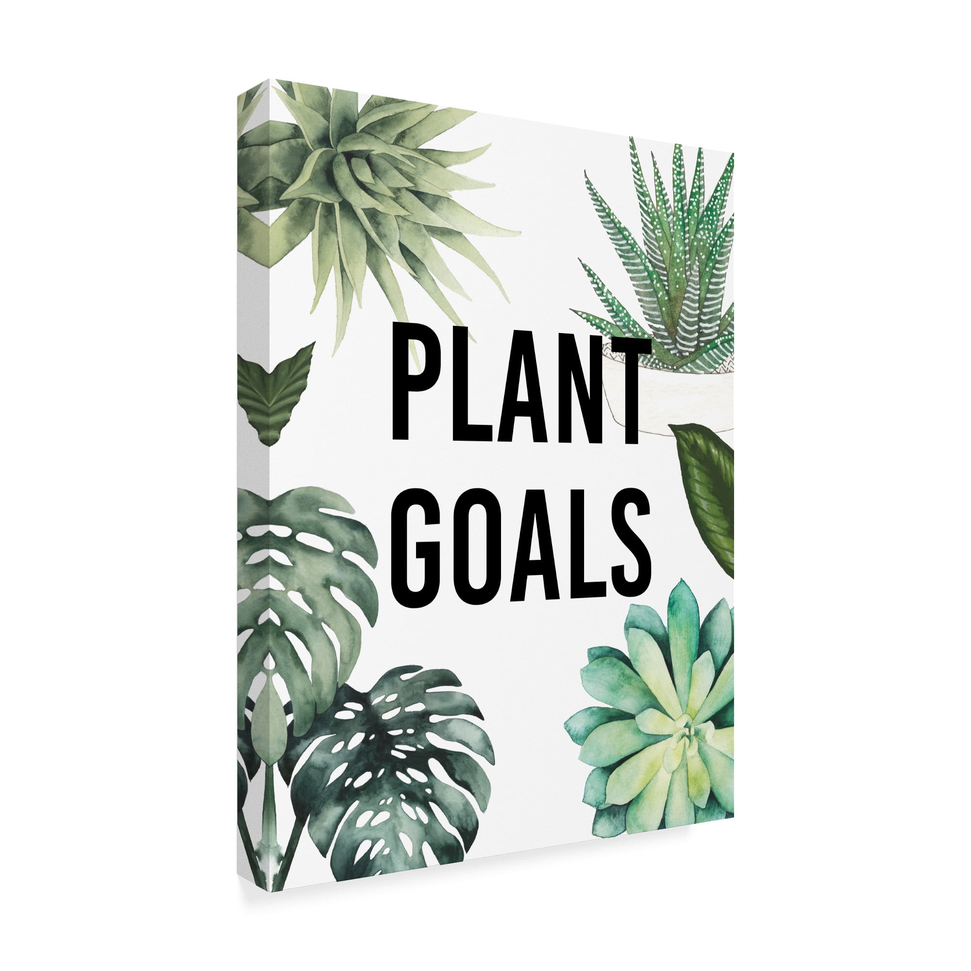Trademark Fine Art 'Plant Love II' Canvas Art by Studio W