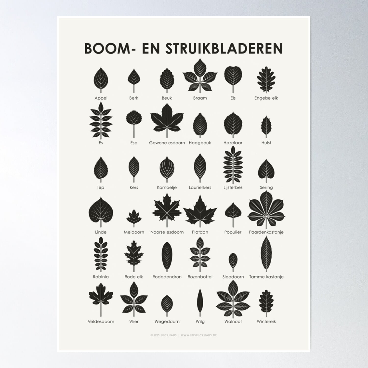 Boom- En Struikbladeren Zoekkaart (Dutch) Poster Wall Art Modern Wall Decor 12x18 UNFRAMED
