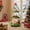 Green, variant on Pinmoco Christmas Tree Rolling Storage Cart, 3-Tier Metal Snack & Dessert Stand, End Table for Party Festival, Green