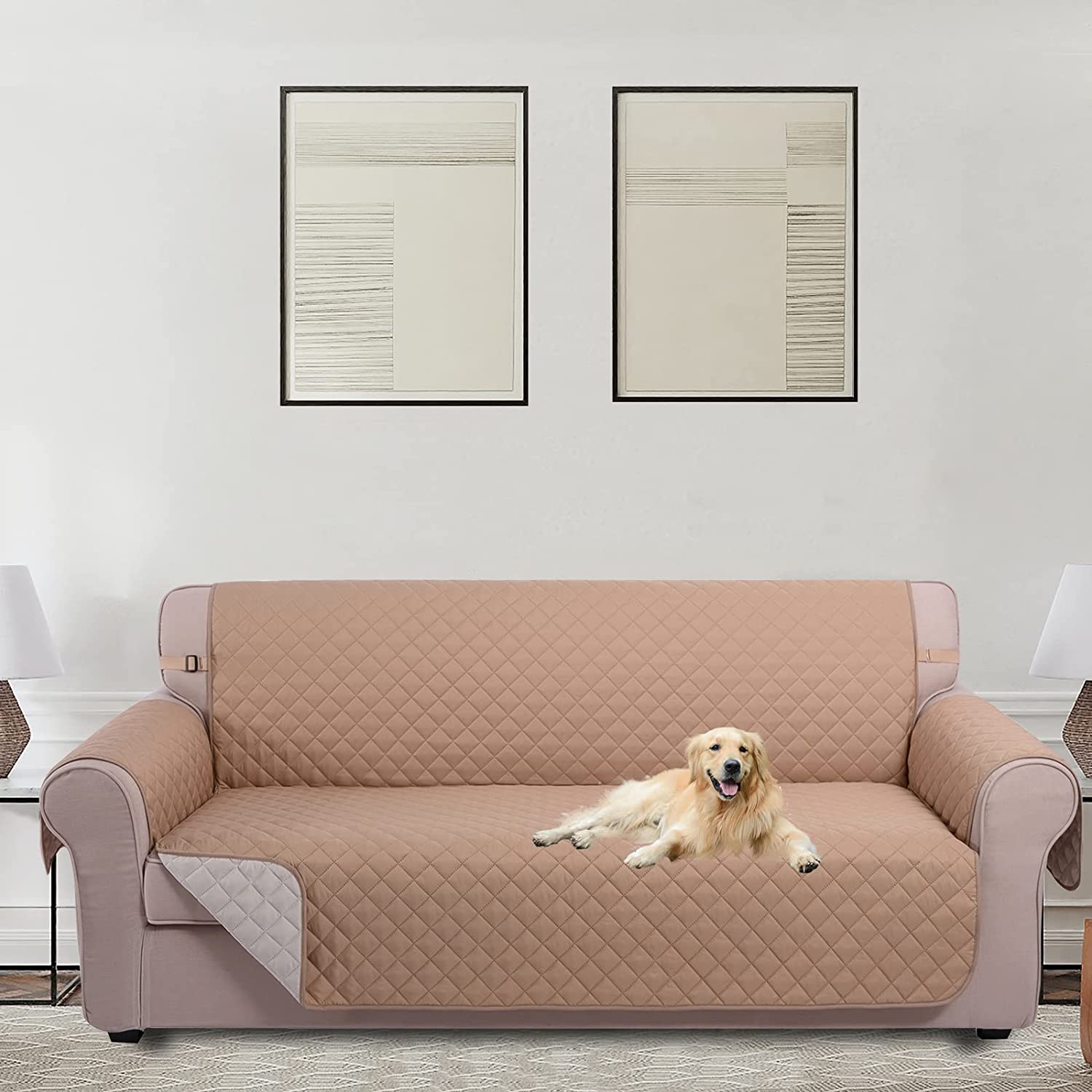 dog proof furniture