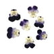 thumbnail image 4 of Toystoory 12 piezas de artesanías de flores secas, artesanías multipropósito DIY, flores prensadas, joyería artesanal, accesorio de tipo 6 10Conjunto, 4 of 6