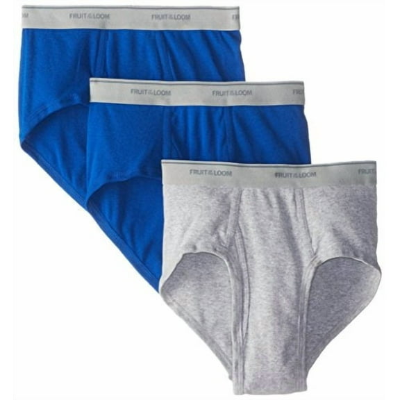 Fruit of the Loom Men's Brief (Pack of 3) (Multi, Small)