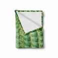 thumbnail image 2 of Cactus Soft Flannel Fleece Throw Blanket, Photo of Cactus with Spikes Plant Flower Fruit from Close Zoom Shoot with Spikes Print, Cozy Plush for Indoor and Outdoor Use, 50" x 60", Green, by Ambesonne, 2 of 6