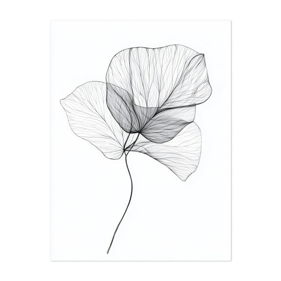 Fresh Floral Line Art - Line Drawing Line Art Minimalist Botanical Nature Floral Black and White Modern Art Unframed Wall Art Print 5 x 7 inches