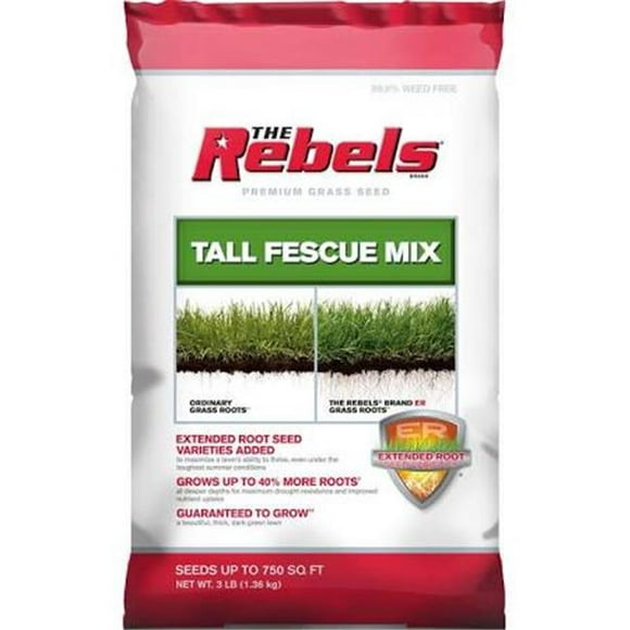Pennington Tall Fescue Blend Grass Seed, 3 lbs - Produces a dark, green lawn