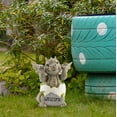 thumbnail image 4 of Esterno Baby Dragon Garden Statue (9-Inch); Hatching Dragon Yard Decor, 4 of 9