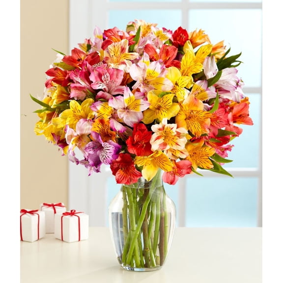 From You Flowers - 24 Stem Multicolor Rainbow Alstroemeria Bouquet for Birthday, Anniversary, Get Well, Congratulations, Thank You, All Occasions