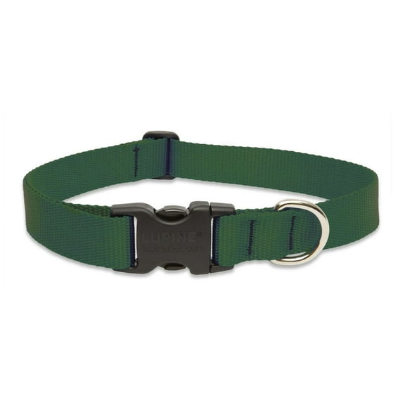 LupinePet Basics 1" Green 25-31" Adjustable Collar for Extra Large Dogs