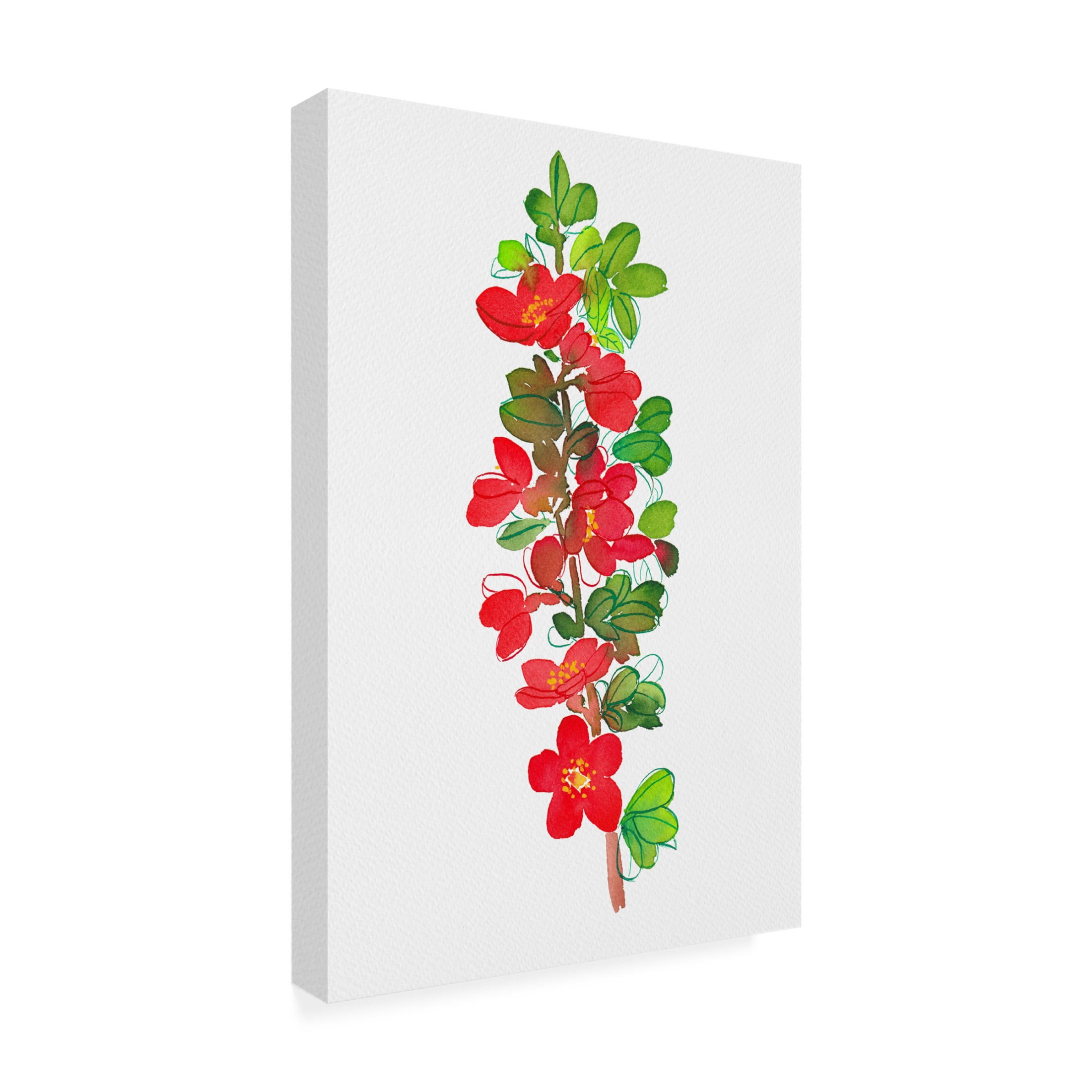 Trademark Fine Art Kata Botanical  Japanese quince or Chaenomeles Canvas Wall Art